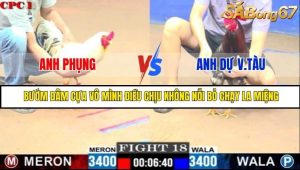 Trận 18 Bồ Gà C1 Ngày 28/7/2025
