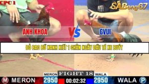Trận 18 Bồ Gà C1 Ngày 5/7/2025