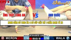 Trận 18 Bồ Gà C2 Ngày 13/7/2025