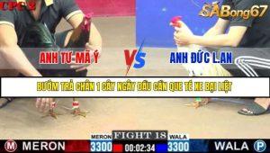 Trận 18 Bồ Gà C2 Ngày 23/7/2025
