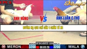 Trận 18 Bồ Gà C2 Ngày 4/7/2025