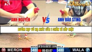 Trận 18 Bồ Gà C2 Ngày 9/7/2025