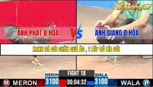 Trận 18 Bồ Gà C3 Ngày 13/7/2025