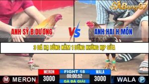 Trận 18 Bồ Gà C3 Ngày 16/7/2025