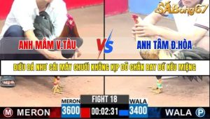 Trận 18 Bồ Gà C3 Ngày 25/7/2025