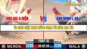 Trận 18 Bồ Gà C3 Ngày 4/7/2025