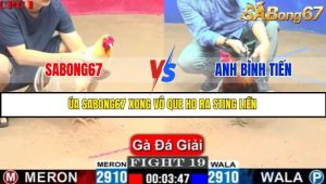 Trận 19 Bồ Gà C1 Ngày 10/7/2025