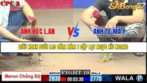Trận 19 Bồ Gà C2 Ngày 23/7/2025