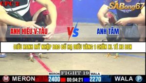Trận 19 Bồ Gà C2 Ngày 4/7/2025