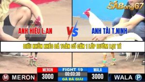 Trận 19 Bồ Gà C3 Ngày 16/7/2025
