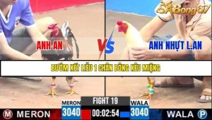 Trận 19 Bồ Gà C3 Ngày 18/7/2025