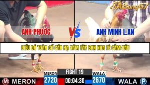 Trận 19 Bồ Gà C3 Ngày 30/7/2025