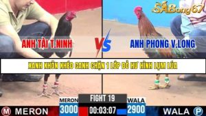Trận 19 Bồ Gà C3 Ngày 8/7/2025