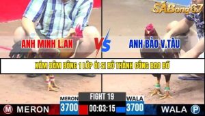 Trận 19 Bồ Gà C3 Ngày 9/7/2025