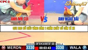 Trận 2 Bồ Gà C1 Ngày 10/7/2025