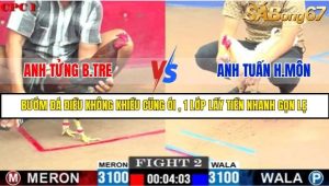 Trận 2 Bồ Gà C1 Ngày 26/7/2025