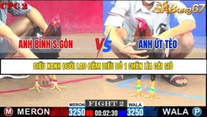 Trận 2 Bồ Gà C2 Ngày 25/7/2025