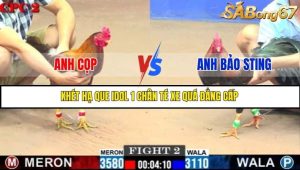 Trận 2 Bồ Gà C2 Ngày 27/7/2025