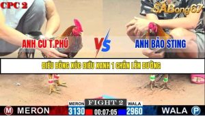 Trận 2 Bồ Gà C2 Ngày 9/7/2025