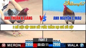Trận 2 Bồ Gà C3 2/7/2025
