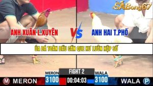 Trận 2 Bồ Gà C3 7/7/2025