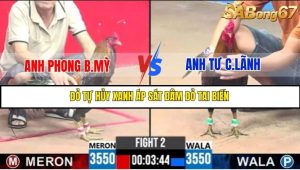 Trận 2 Bồ Gà C3 Ngày 16/7/2025