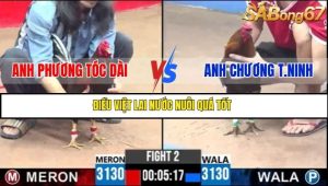 Trận 2 Bồ Gà C3 Ngày 17/7/2025