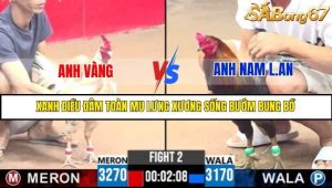 Trận 2 Bồ Gà C3 Ngày 18/7/2025