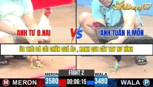 Trận 2 Bồ Gà C3 Ngày 25/7/2025