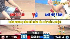 Trận 2 Bồ Gà C3 Ngày 8/7/2025