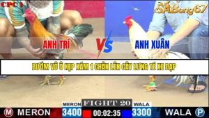 Trận 20 Bồ Gà C1 Ngày 5/7/2025