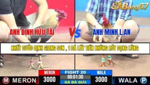 Trận 20 Bồ Gà C3 Ngày 16/7/2025
