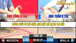 Trận 20 Bồ Gà C3 Ngày 28/7/2025