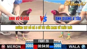 Trận 20 Bồ Gà C3 Ngày 4/7/2025