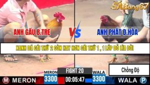 Trận 20 Bồ Gà C3 Ngày 9/7/2025