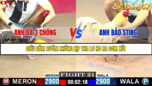 Trận 21 Bồ Gà C1 7/7/2025
