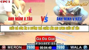 Trận 21 Bồ Gà C1 Ngày 10/7/2025