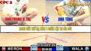 Trận 21 Bồ Gà C2 Ngày 4/7/2025