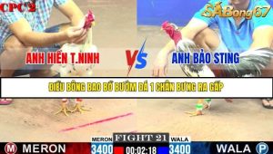 Trận 21 Bồ Gà C2 Ngày 9/7/2025