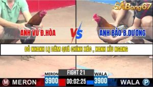 Trận 21 Bồ Gà C3 Ngày 13/7/2025