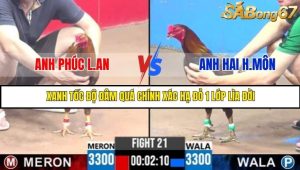 Trận 21 Bồ Gà C3 Ngày 26/7/2025