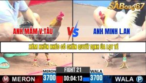 Trận 21 Bồ Gà C3 Ngày 28/7/2025