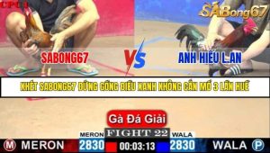 Trận 22 Bồ Gà C1 Ngày 10/7/2025