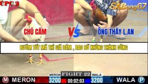 Trận 22 Bồ Gà C2 Ngày 13/7/2025