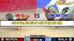 Trận 22 Bồ Gà C2 Ngày 9/7/2025