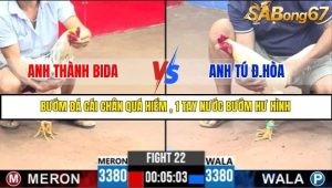 Trận 22 Bồ Gà C3 Ngày 17/7/2025
