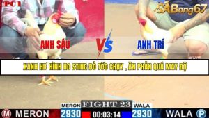 Trận 23 Bồ Gà C1 Ngày 23/7/2025
