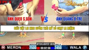 Trận 23 Bồ Gà C2 Ngày 11/7/2025