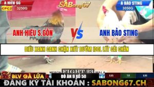 Trận 23 Bồ Gà C2 Ngày 27/7/2025