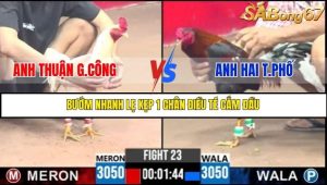 Trận 23 Bồ Gà C3 Ngày 26/7/2025